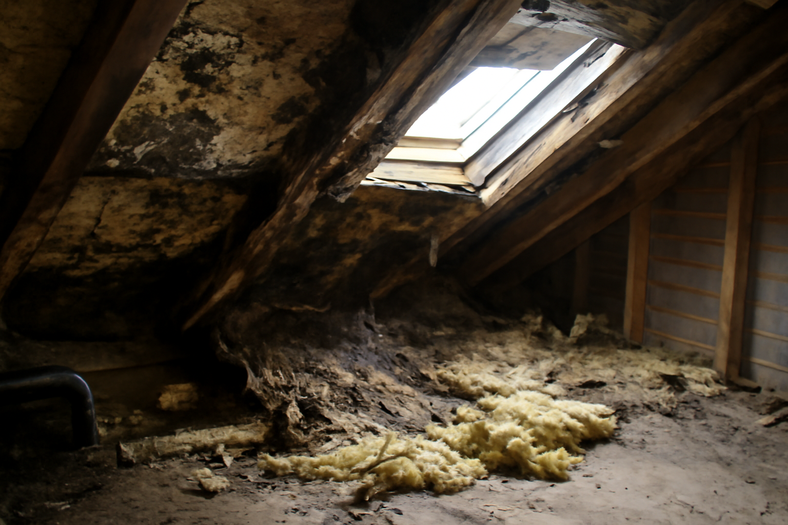 Attic Water Damage Restoration in Waxahachie, TX